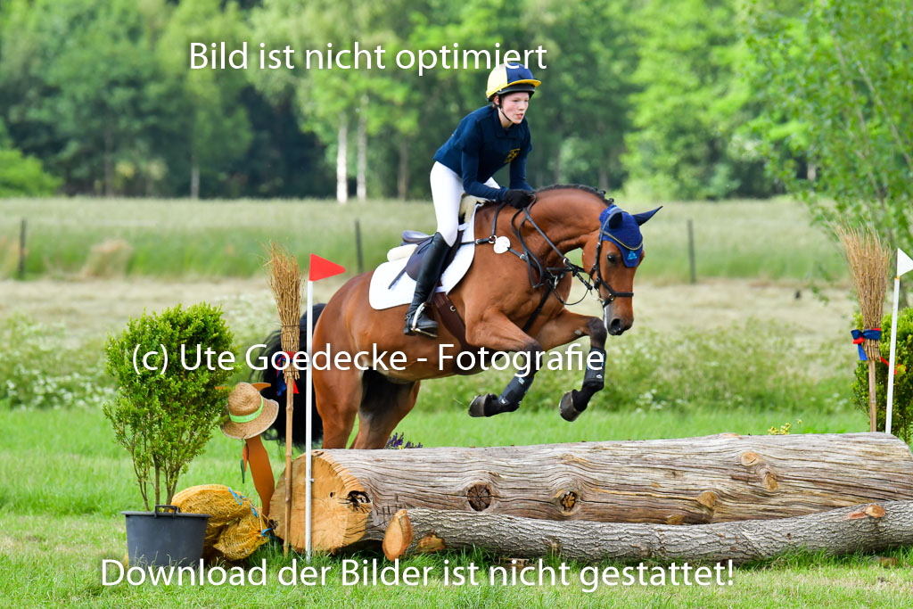 Goldene Schärpe PFerde  in Löningen  11+12.6.22 | 11062022 - Gelände 692 Abt 