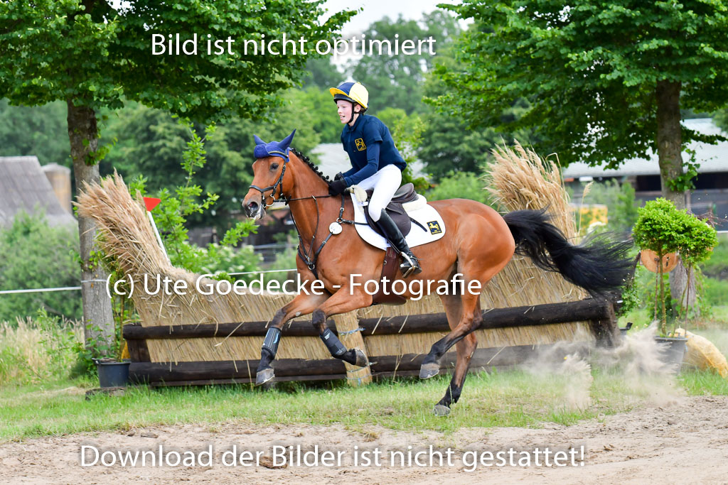 Goldene Schärpe PFerde  in Löningen  11+12.6.22 | 11062022 - Gelände 693 Abt 