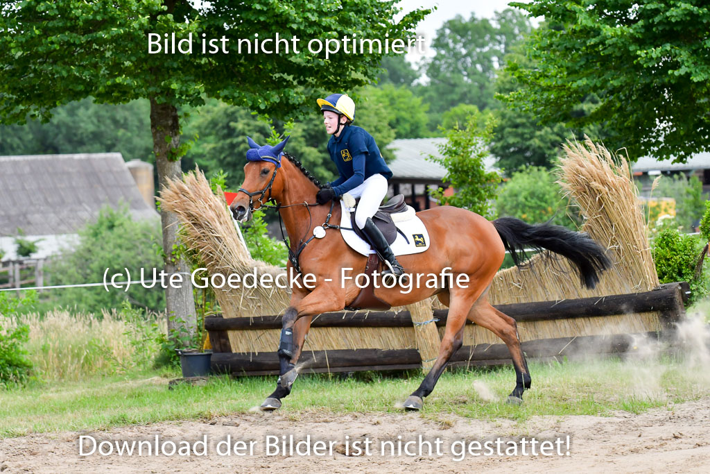 Goldene Schärpe PFerde  in Löningen  11+12.6.22 | 11062022 - Gelände 694 Abt 
