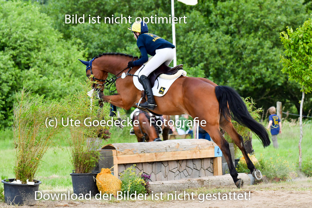 Goldene Schärpe PFerde  in Löningen  11+12.6.22 | 11062022 - Gelände 695 Abt