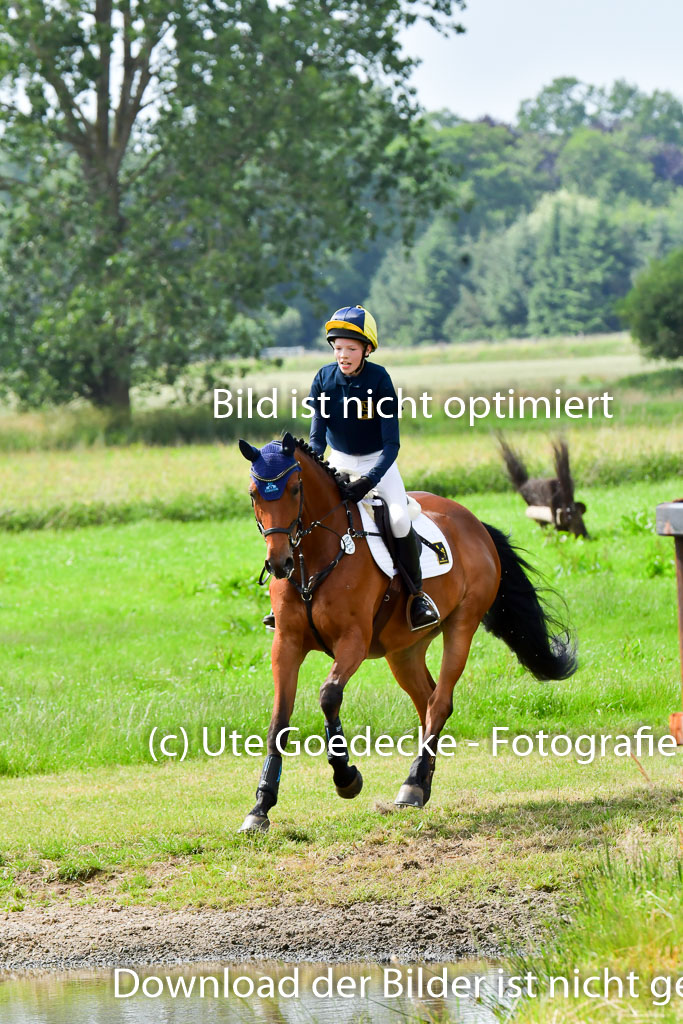 Goldene Schärpe PFerde  in Löningen  11+12.6.22 | 11062022 - Gelände 696 Abt 