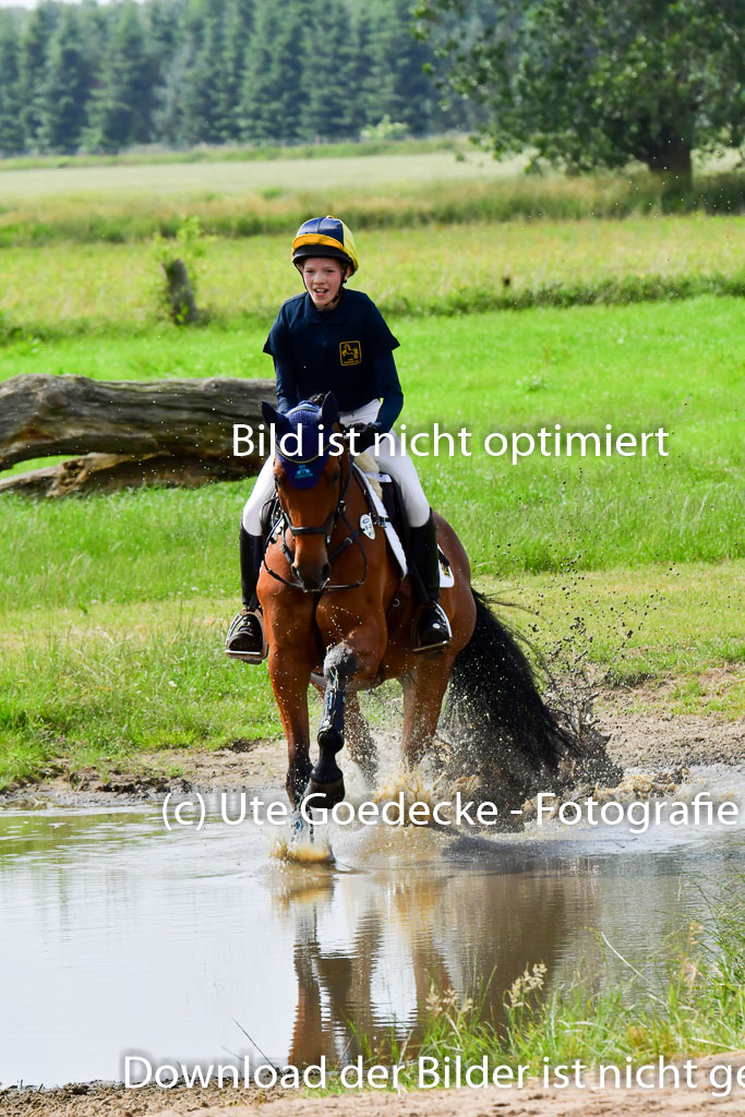 Goldene Schärpe PFerde  in Löningen  11+12.6.22 | 11062022 - Gelände 697 Abt 