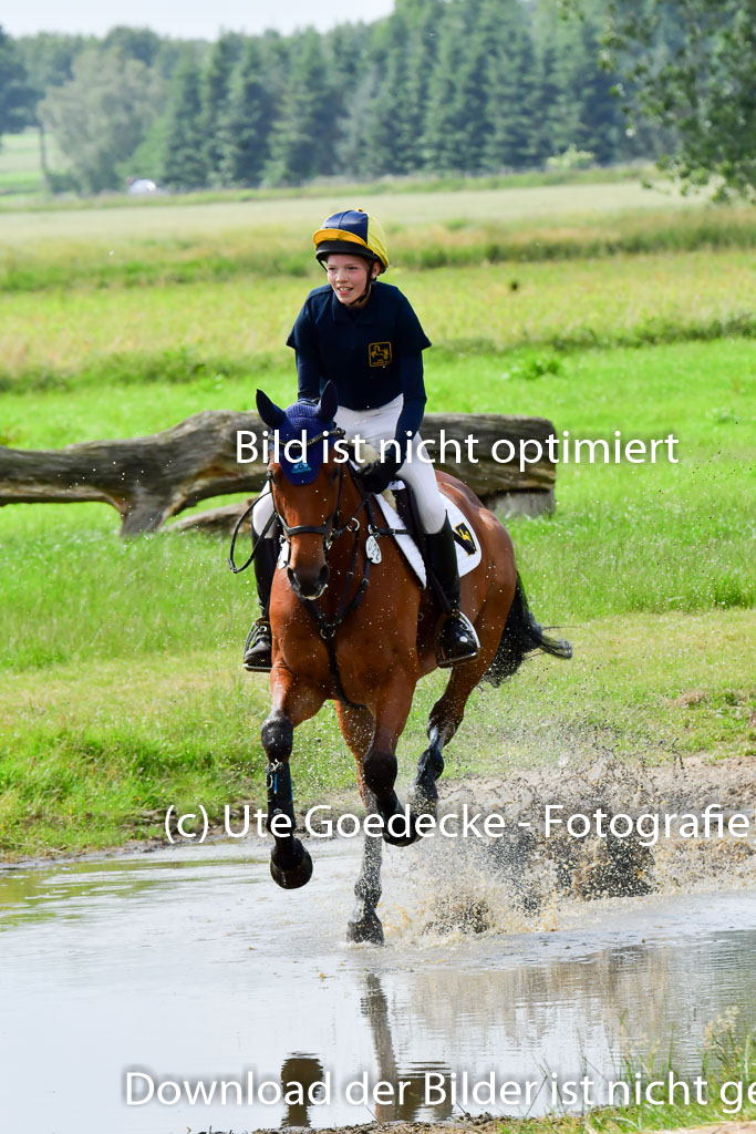 Goldene Schärpe PFerde  in Löningen  11+12.6.22 | 11062022 - Gelände 698 Abt 