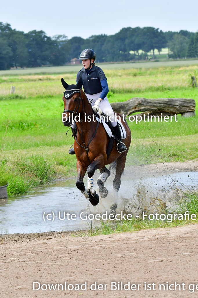 Goldene Schärpe PFerde  in Löningen  11+12.6.22 | 11062022 - Gelände 7 Abt 