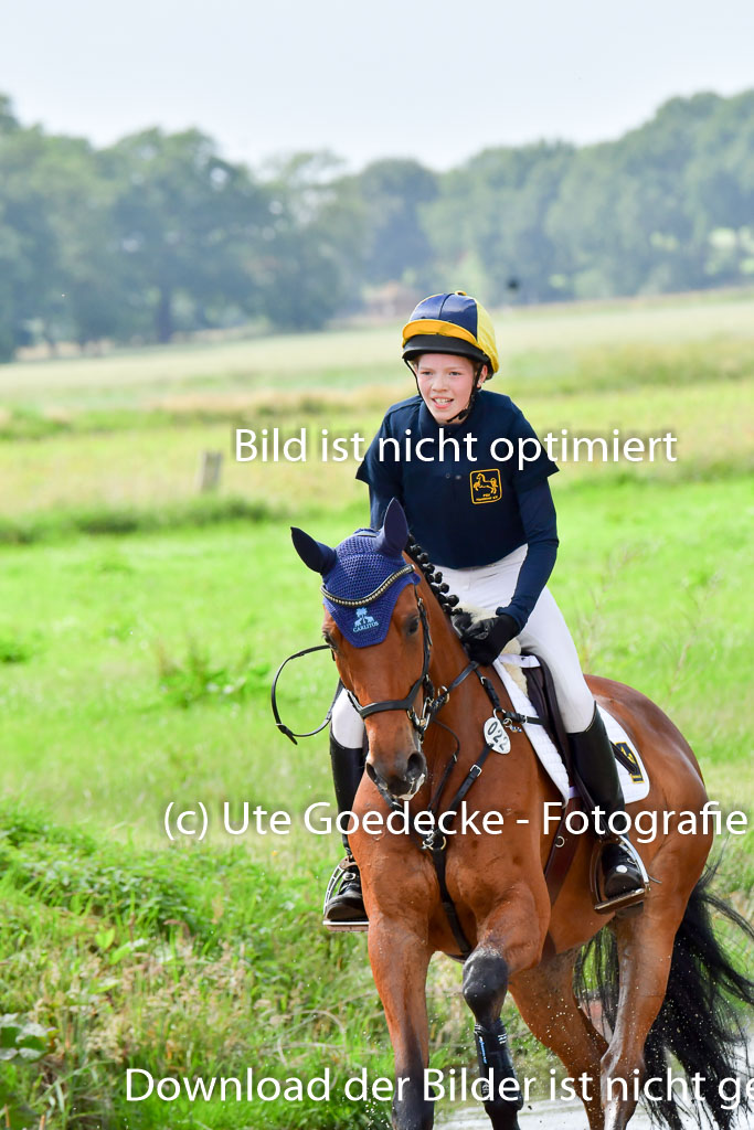 Goldene Schärpe PFerde  in Löningen  11+12.6.22 | 11062022 - Gelände 700 Abt 