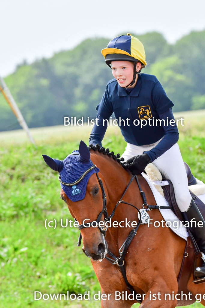 Goldene Schärpe PFerde  in Löningen  11+12.6.22 | 11062022 - Gelände 701 Abt 