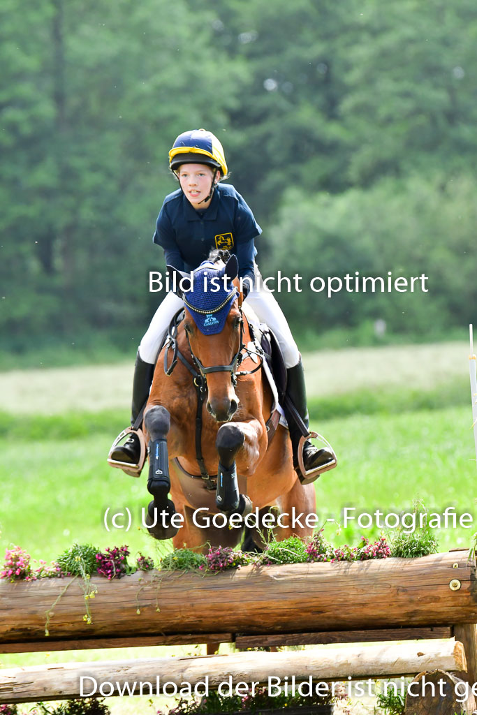 Goldene Schärpe PFerde  in Löningen  11+12.6.22 | 11062022 - Gelände 702 Abt 