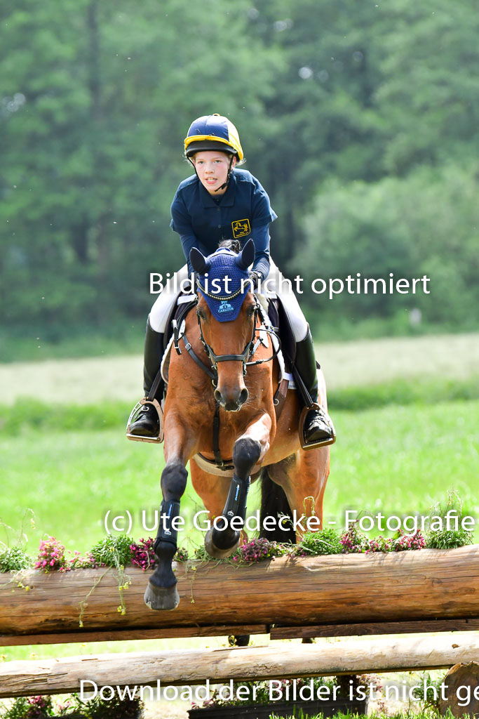 Goldene Schärpe PFerde  in Löningen  11+12.6.22 | 11062022 - Gelände 703 Abt 