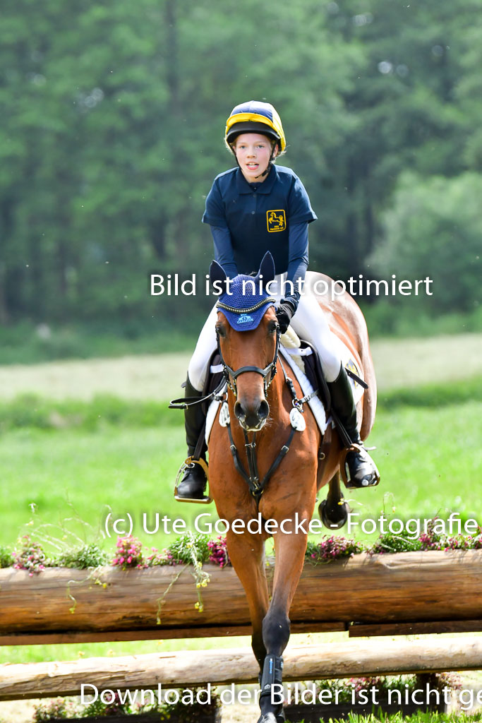 Goldene Schärpe PFerde  in Löningen  11+12.6.22 | 11062022 - Gelände 704 Abt 