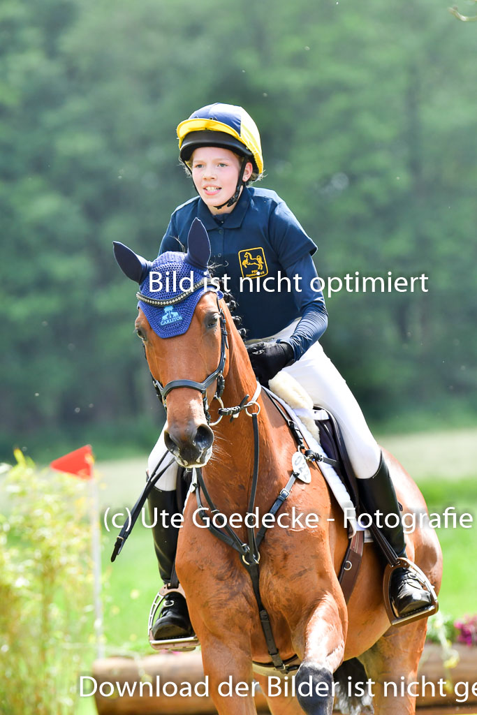 Goldene Schärpe PFerde  in Löningen  11+12.6.22 | 11062022 - Gelände 706 Abt 