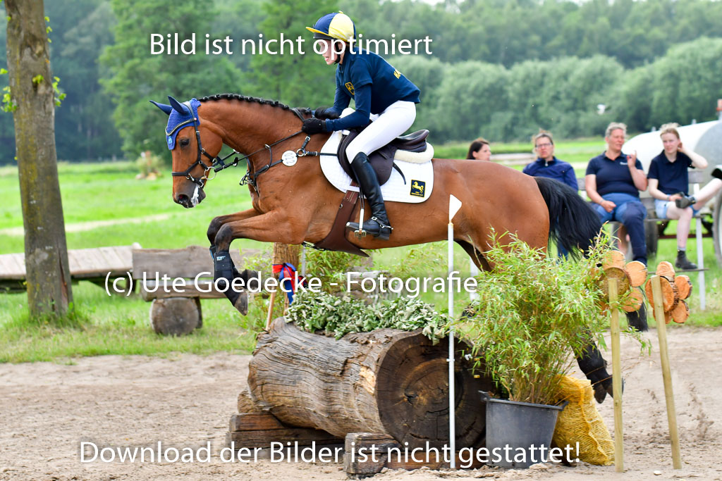Goldene Schärpe PFerde  in Löningen  11+12.6.22 | 11062022 - Gelände 709 Abt 