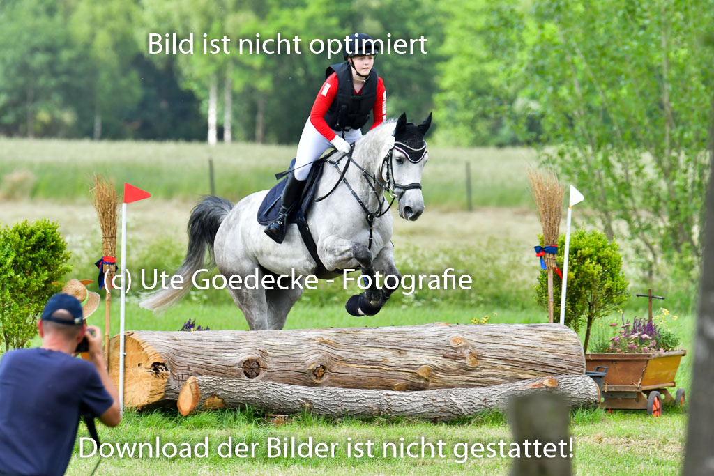 Goldene Schärpe PFerde  in Löningen  11+12.6.22 | 11062022 - Gelände 711 Abt