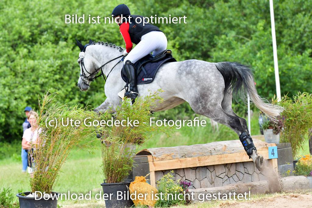 Goldene Schärpe PFerde  in Löningen  11+12.6.22 | 11062022 - Gelände 714 Abt 
