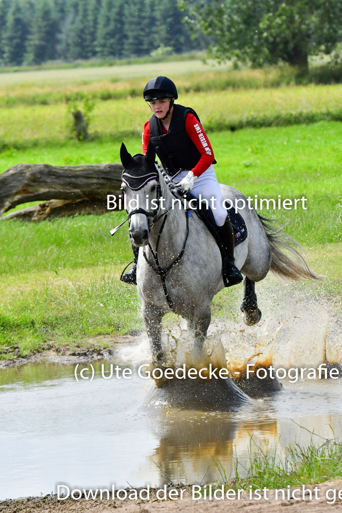 Goldene Schärpe PFerde  in Löningen  11+12.6.22 | 11062022 - Gelände 717 Abt 