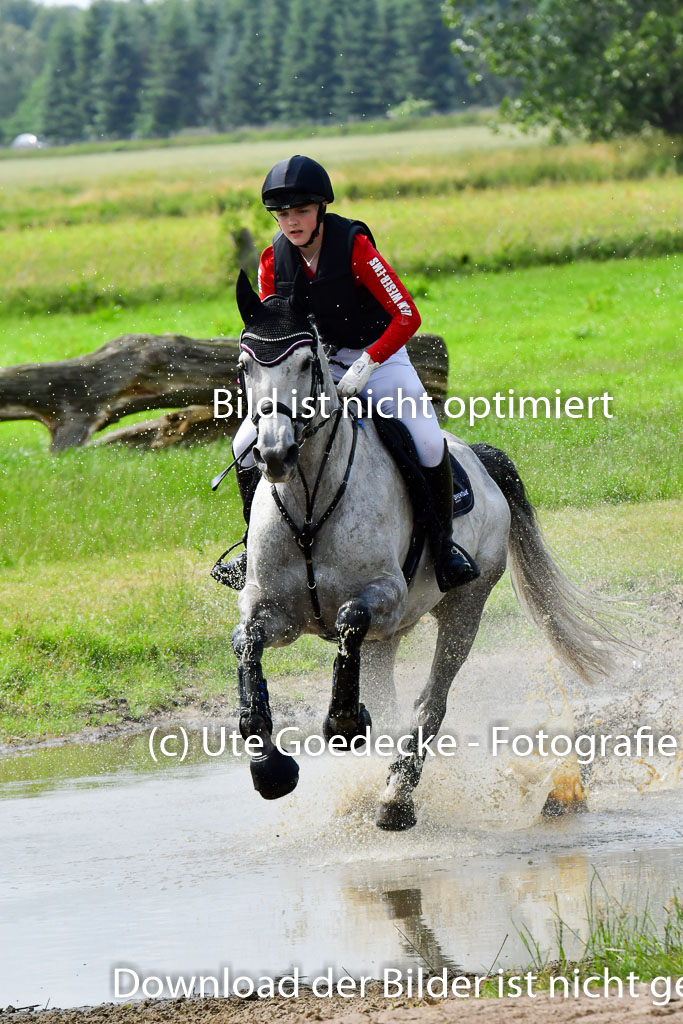 Goldene Schärpe PFerde  in Löningen  11+12.6.22 | 11062022 - Gelände 719 Abt