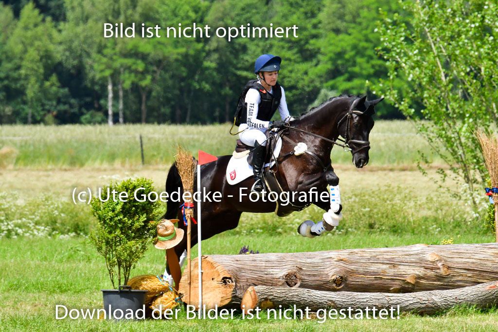Goldene Schärpe PFerde  in Löningen  11+12.6.22 | 11062022 - Gelände 72 Abt 