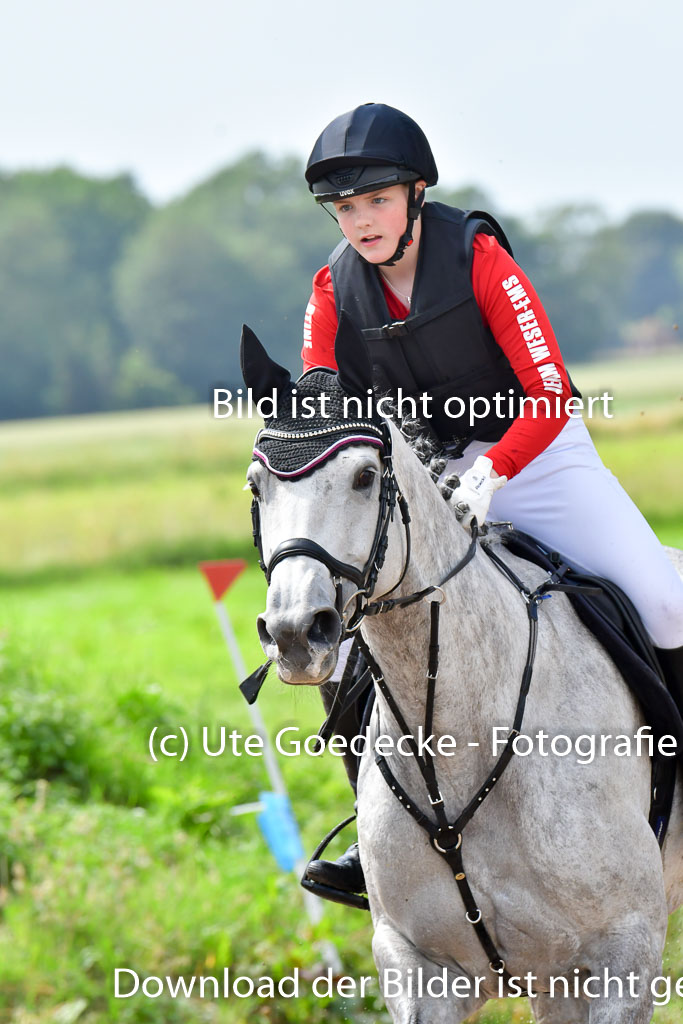 Goldene Schärpe PFerde  in Löningen  11+12.6.22 | 11062022 - Gelände 723 Abt 