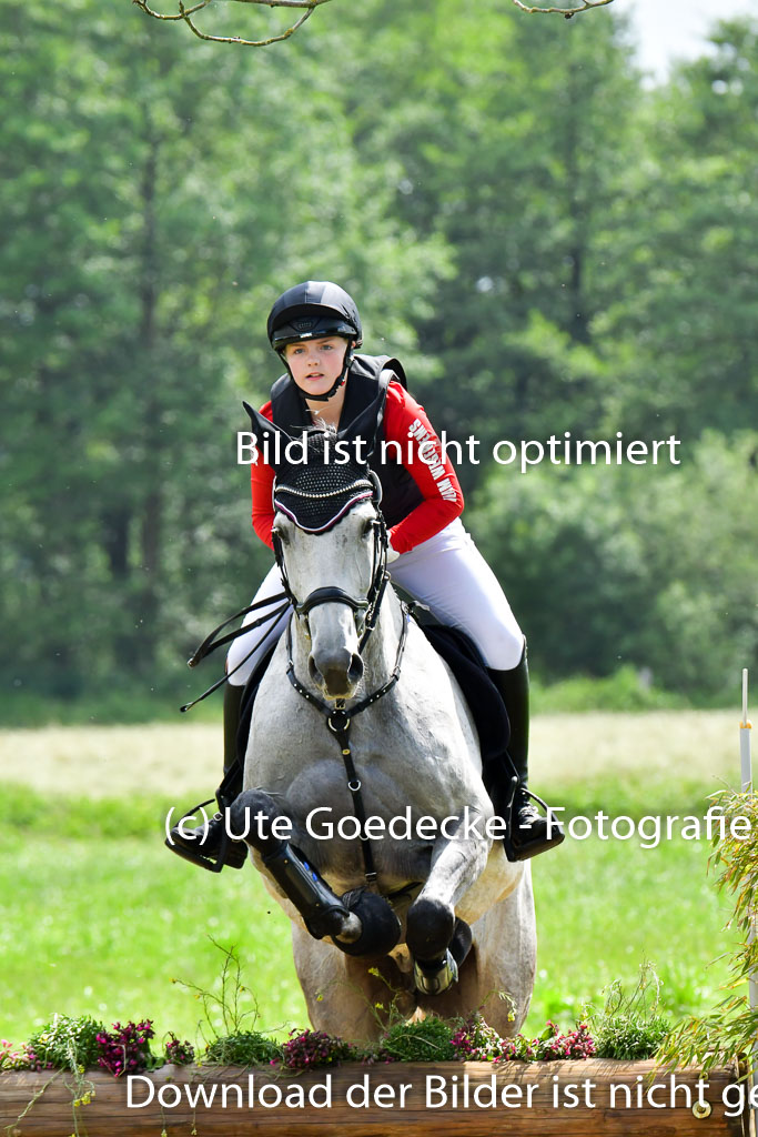 Goldene Schärpe PFerde  in Löningen  11+12.6.22 | 11062022 - Gelände 724 Abt