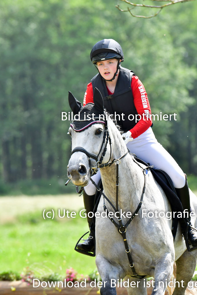 Goldene Schärpe PFerde  in Löningen  11+12.6.22 | 11062022 - Gelände 727 Abt