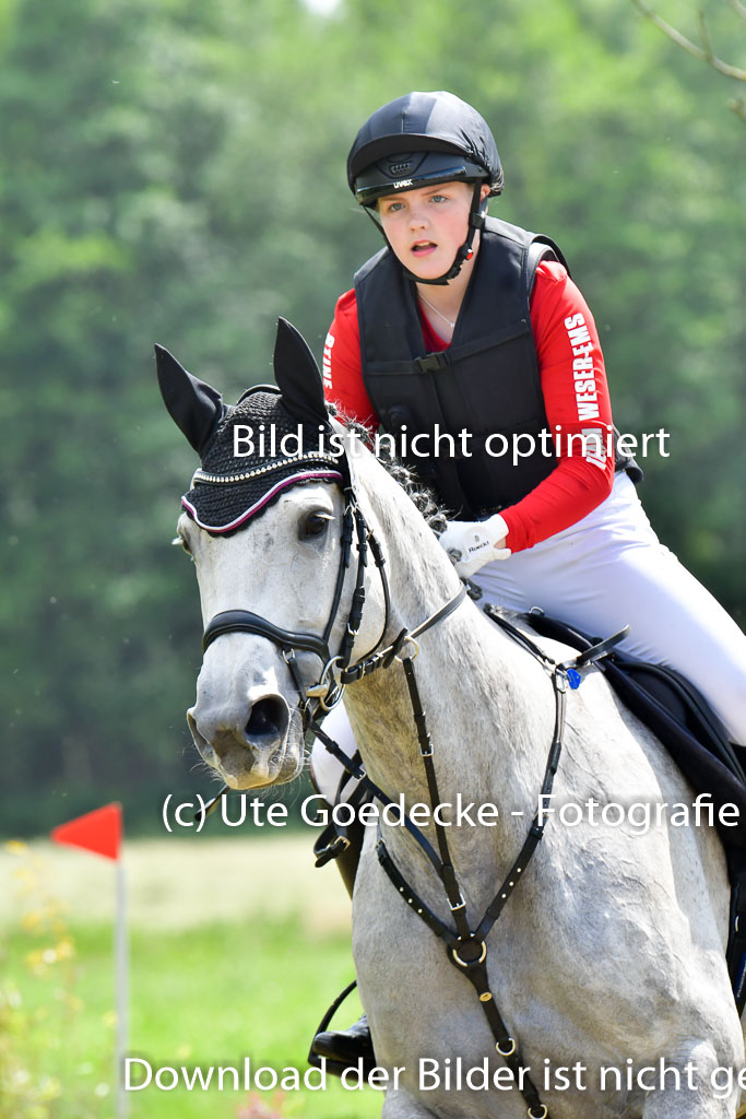 Goldene Schärpe PFerde  in Löningen  11+12.6.22 | 11062022 - Gelände 728 Abt 
