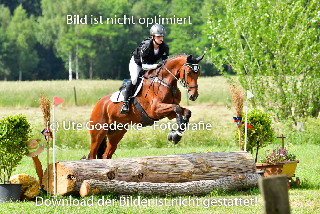 Goldene Schärpe PFerde  in Löningen  11+12.6.22 | 11062022 - Gelände 738 Abt 