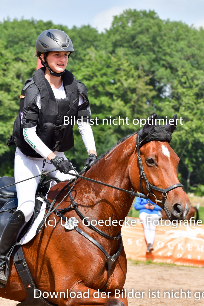 Goldene Schärpe PFerde  in Löningen  11+12.6.22 | 11062022 - Gelände 742 Abt 