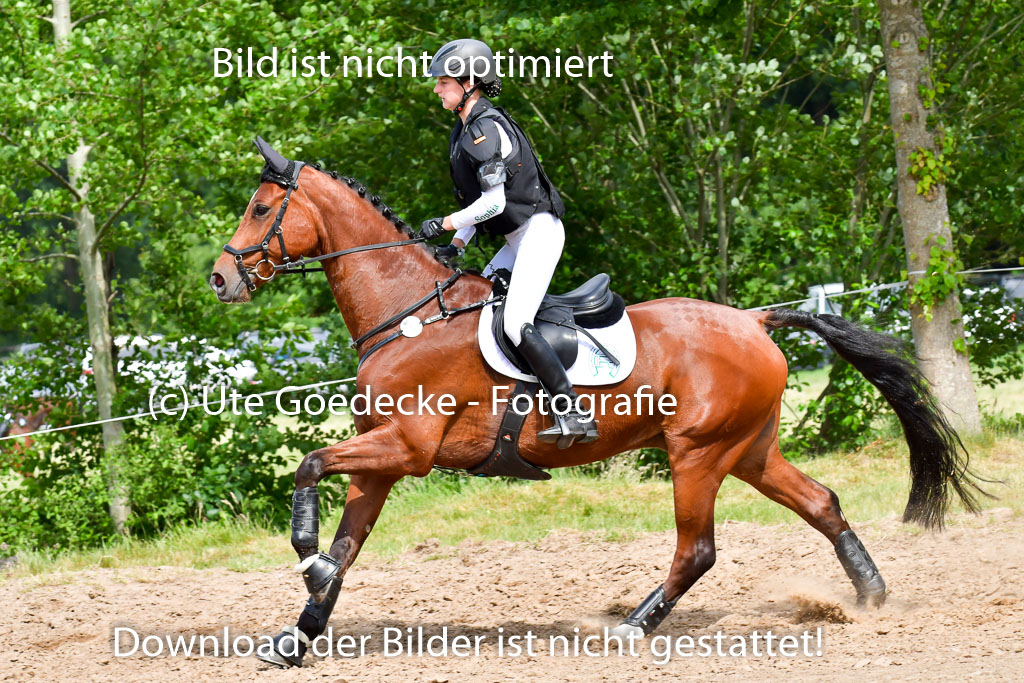 Goldene Schärpe PFerde  in Löningen  11+12.6.22 | 11062022 - Gelände 744 Abt 