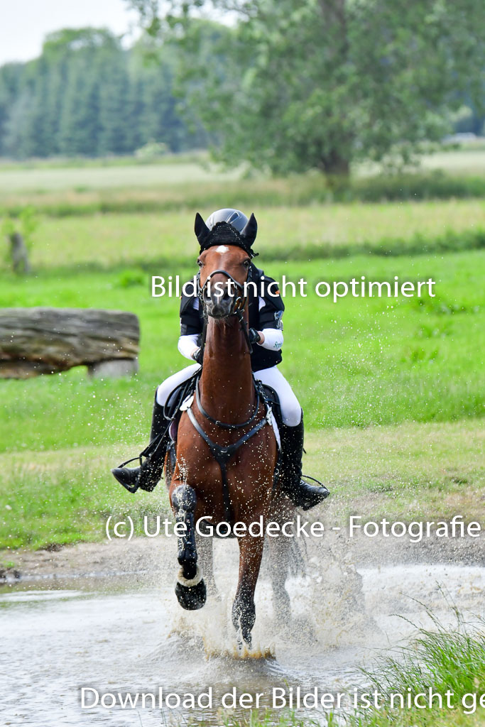 Goldene Schärpe PFerde  in Löningen  11+12.6.22 | 11062022 - Gelände 750 Abt 