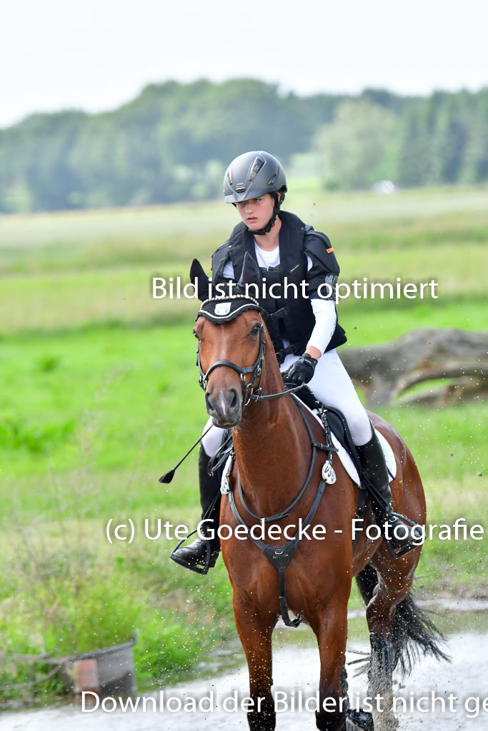 Goldene Schärpe PFerde  in Löningen  11+12.6.22 | 11062022 - Gelände 752 Abt 