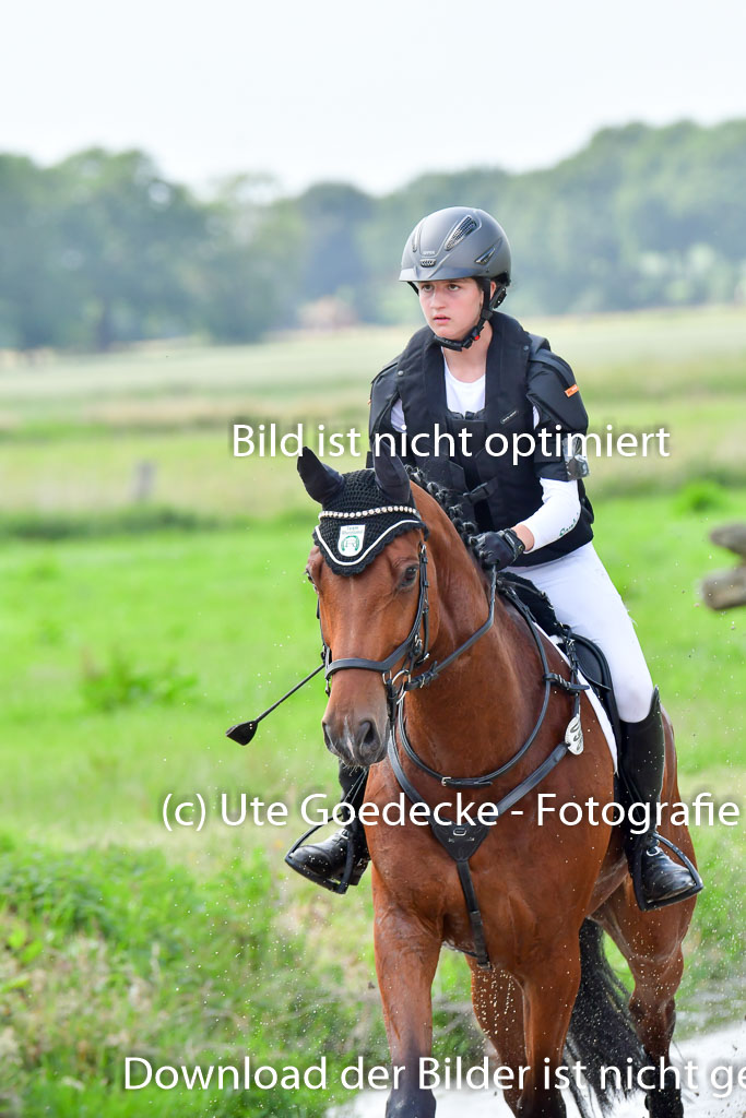 Goldene Schärpe PFerde  in Löningen  11+12.6.22 | 11062022 - Gelände 753 Abt 