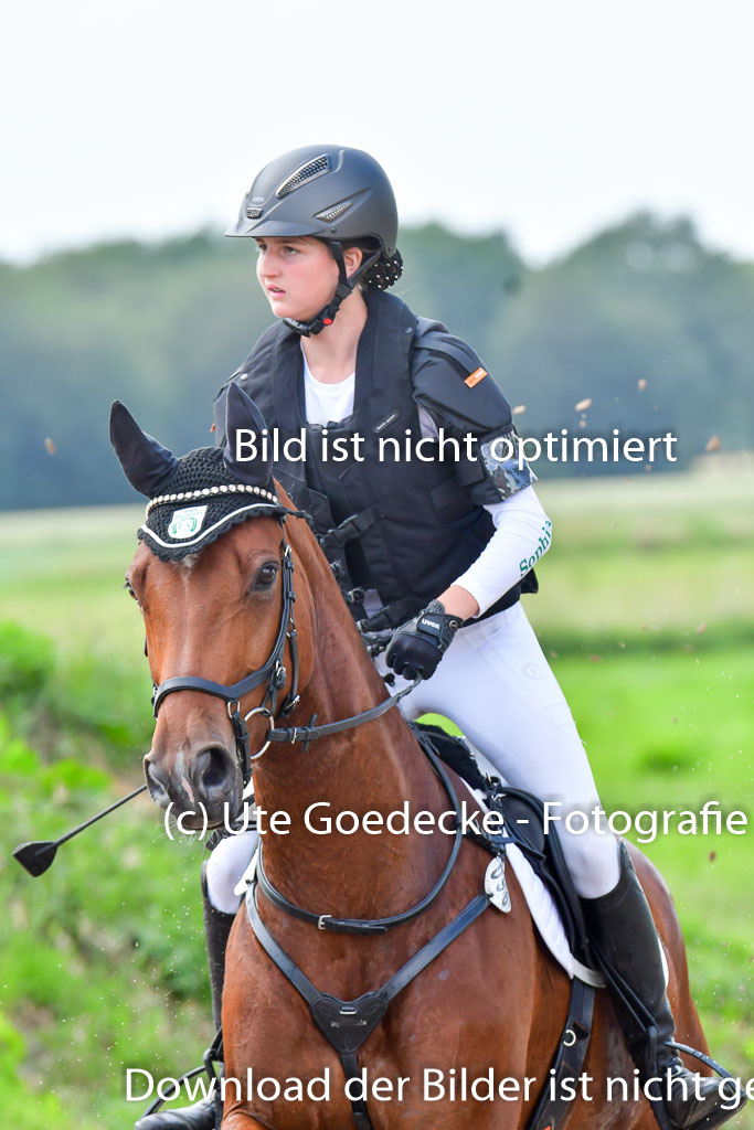 Goldene Schärpe PFerde  in Löningen  11+12.6.22 | 11062022 - Gelände 755 Abt