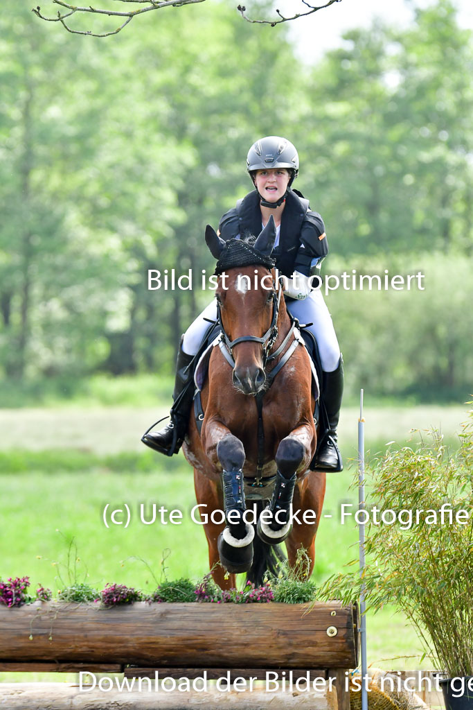 Goldene Schärpe PFerde  in Löningen  11+12.6.22 | 11062022 - Gelände 756 Abt