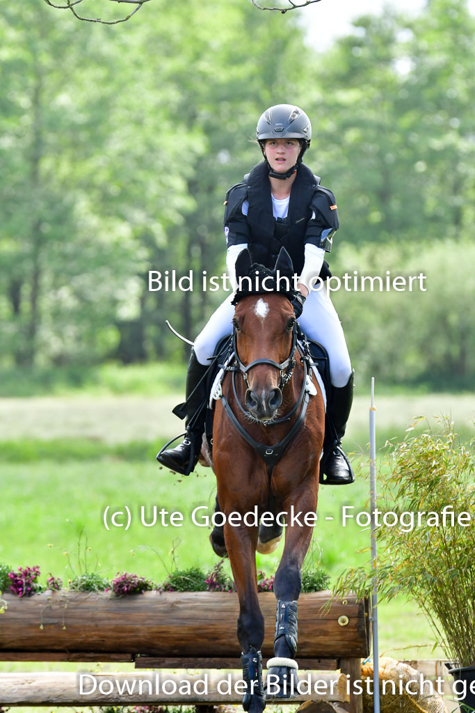 Goldene Schärpe PFerde  in Löningen  11+12.6.22 | 11062022 - Gelände 757 Abt