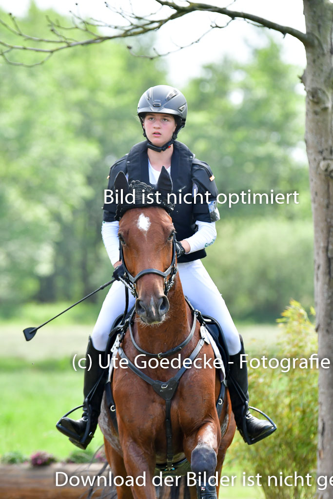 Goldene Schärpe PFerde  in Löningen  11+12.6.22 | 11062022 - Gelände 759 Abt 