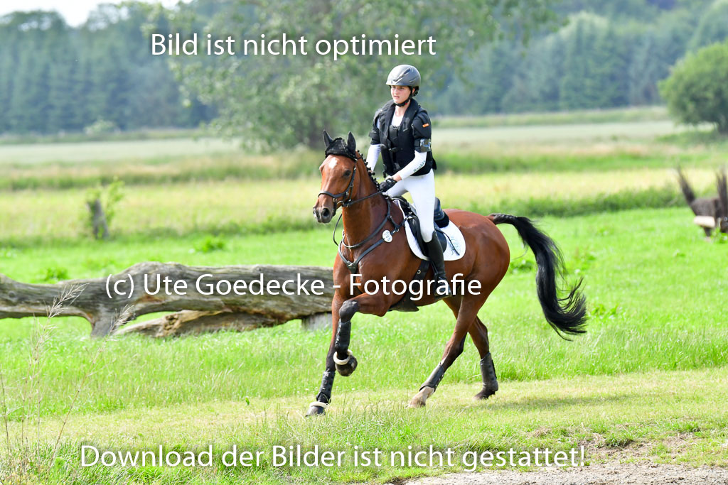 Goldene Schärpe PFerde  in Löningen  11+12.6.22 | 11062022 - Gelände 762 Abt 