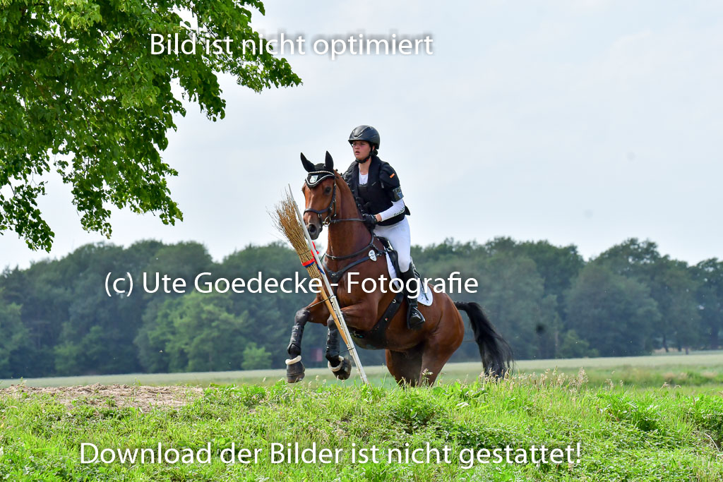 Goldene Schärpe PFerde  in Löningen  11+12.6.22 | 11062022 - Gelände 763 Abt 