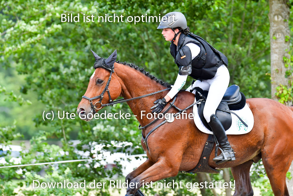 Goldene Schärpe PFerde  in Löningen  11+12.6.22 | 11062022 - Gelände 767 Abt 