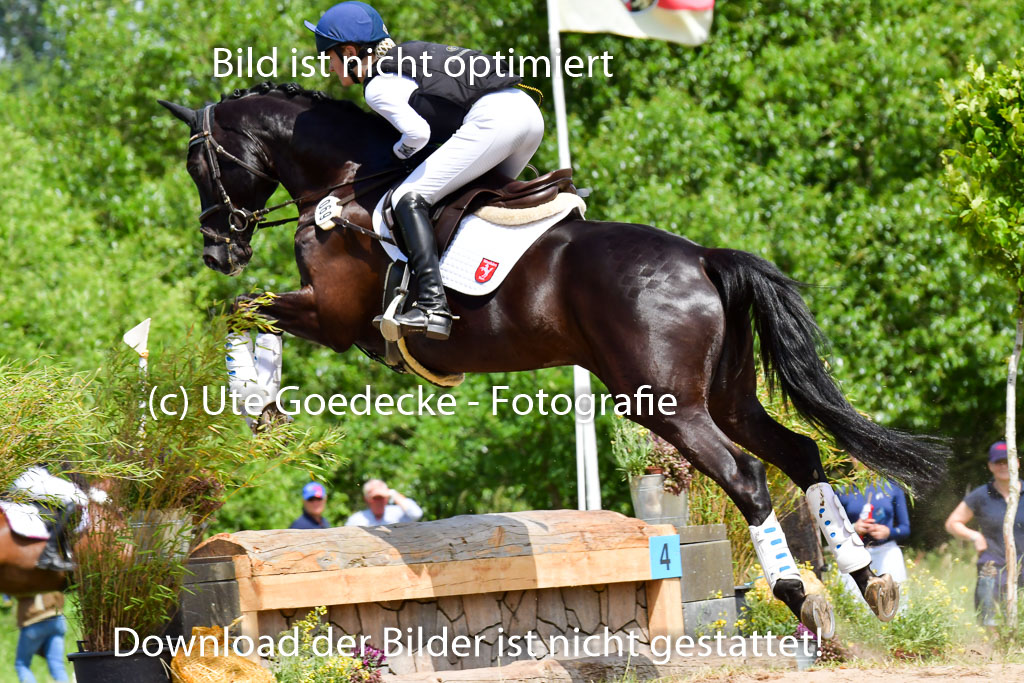 Goldene Schärpe PFerde  in Löningen  11+12.6.22 | 11062022 - Gelände 77 Abt 
