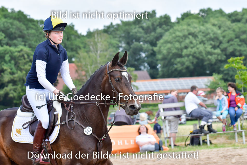 Goldene Schärpe PFerde  in Löningen  11+12.6.22 | 11062022 - Gelände 770 Abt 