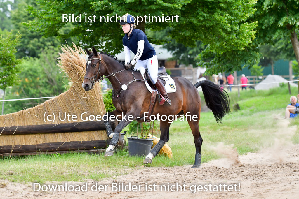 Goldene Schärpe PFerde  in Löningen  11+12.6.22 | 11062022 - Gelände 771 Abt 