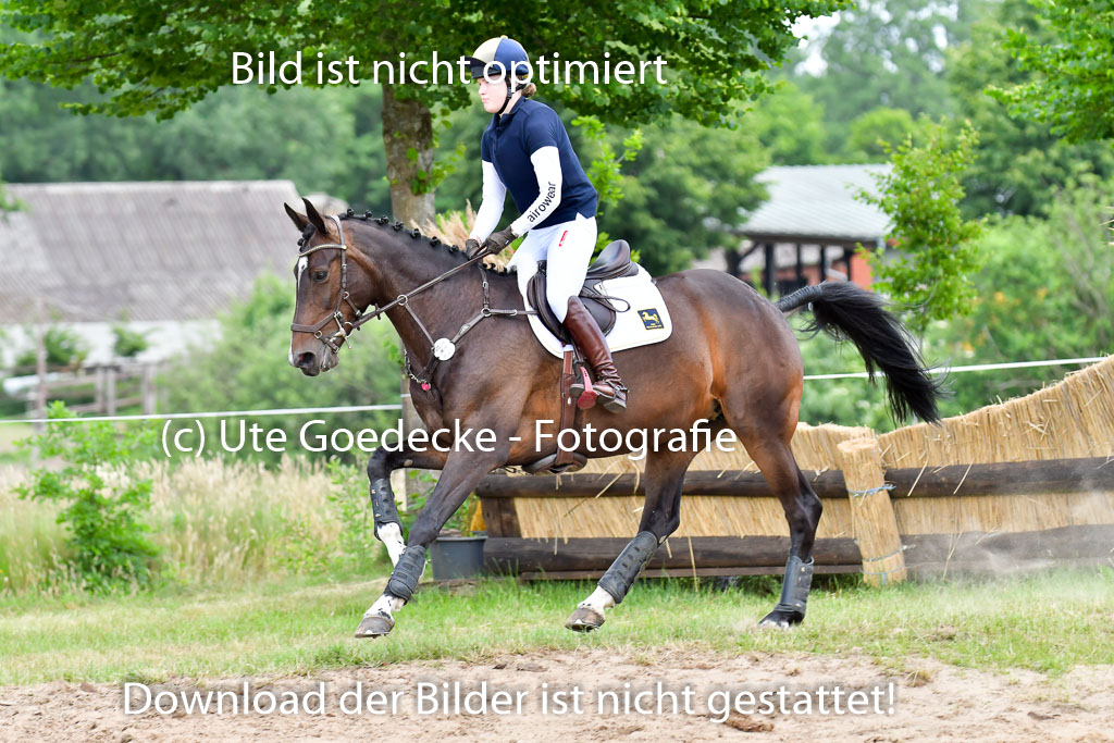 Goldene Schärpe PFerde  in Löningen  11+12.6.22 | 11062022 - Gelände 772 Abt 