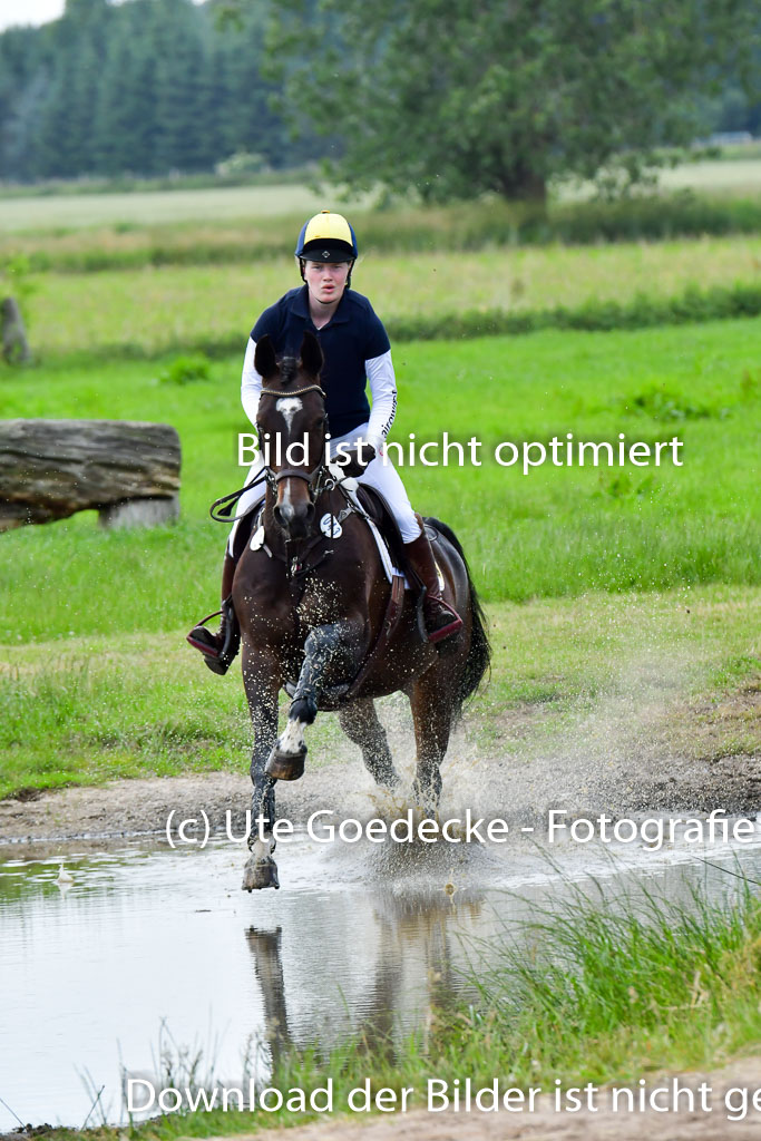 Goldene Schärpe PFerde  in Löningen  11+12.6.22 | 11062022 - Gelände 773 Abt