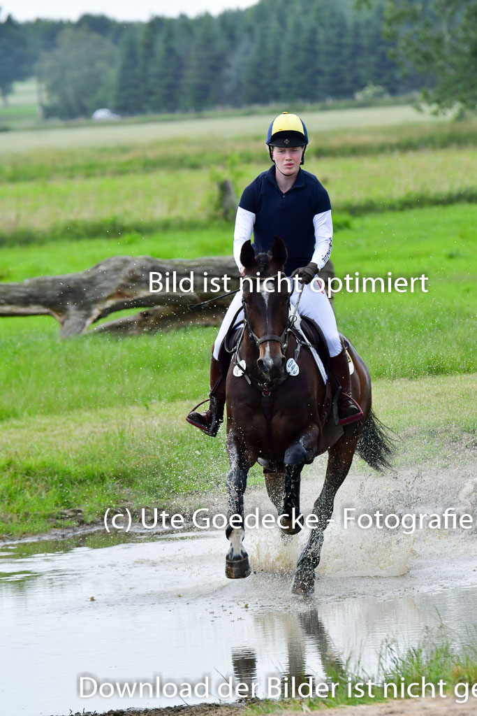 Goldene Schärpe PFerde  in Löningen  11+12.6.22 | 11062022 - Gelände 775 Abt 