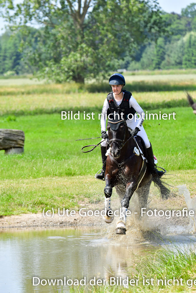 Goldene Schärpe PFerde  in Löningen  11+12.6.22 | 11062022 - Gelände 78 Abt 