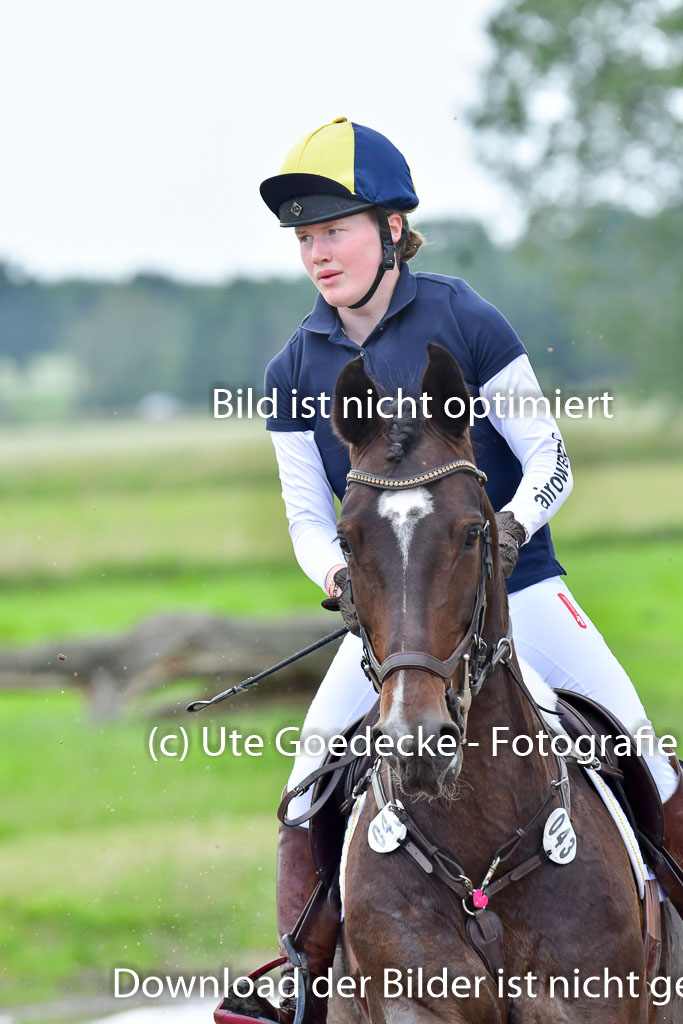 Goldene Schärpe PFerde  in Löningen  11+12.6.22 | 11062022 - Gelände 781 Abt 