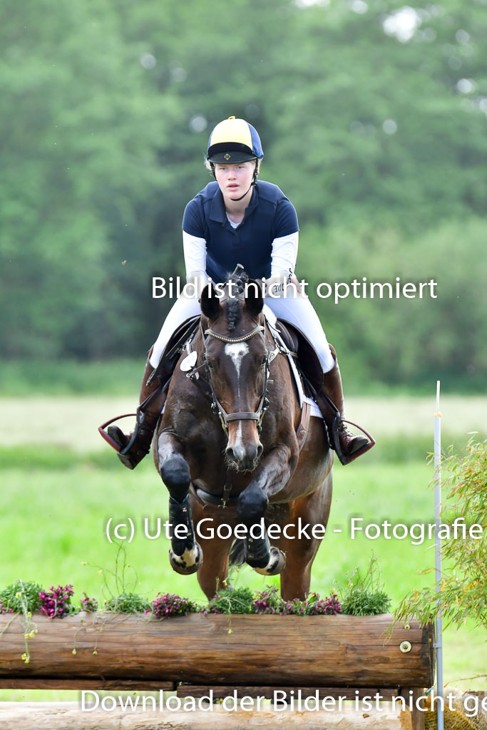 Goldene Schärpe PFerde  in Löningen  11+12.6.22 | 11062022 - Gelände 782 Abt 