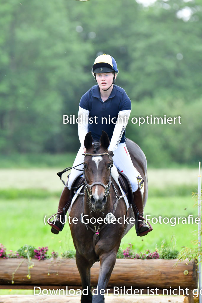 Goldene Schärpe PFerde  in Löningen  11+12.6.22 | 11062022 - Gelände 783 Abt 