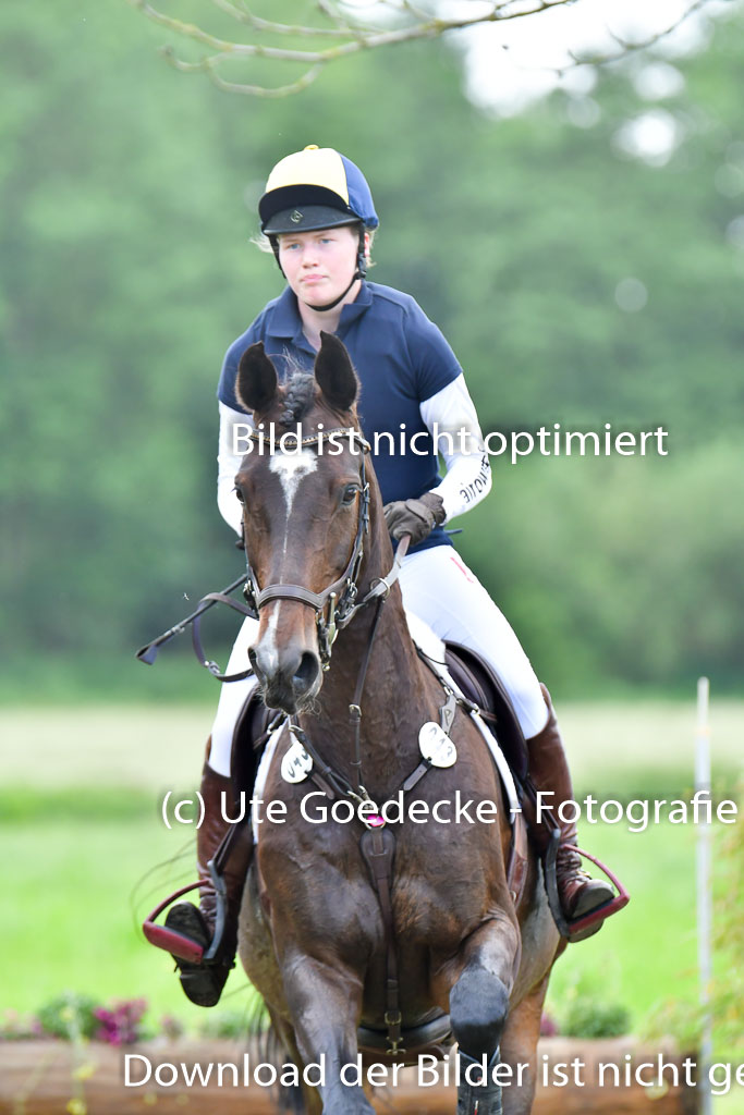 Goldene Schärpe PFerde  in Löningen  11+12.6.22 | 11062022 - Gelände 784 Abt