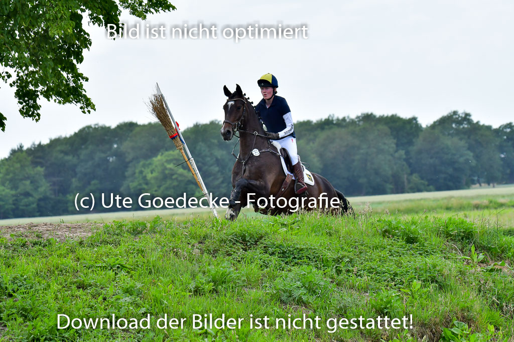 Goldene Schärpe PFerde  in Löningen  11+12.6.22 | 11062022 - Gelände 786 Abt 