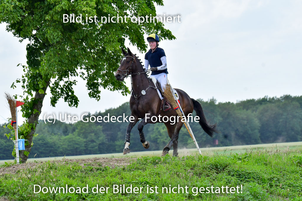 Goldene Schärpe PFerde  in Löningen  11+12.6.22 | 11062022 - Gelände 787 Abt 